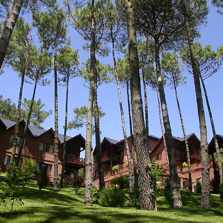 Refugio Del Bosque Villa Carilo Ngoại thất bức ảnh