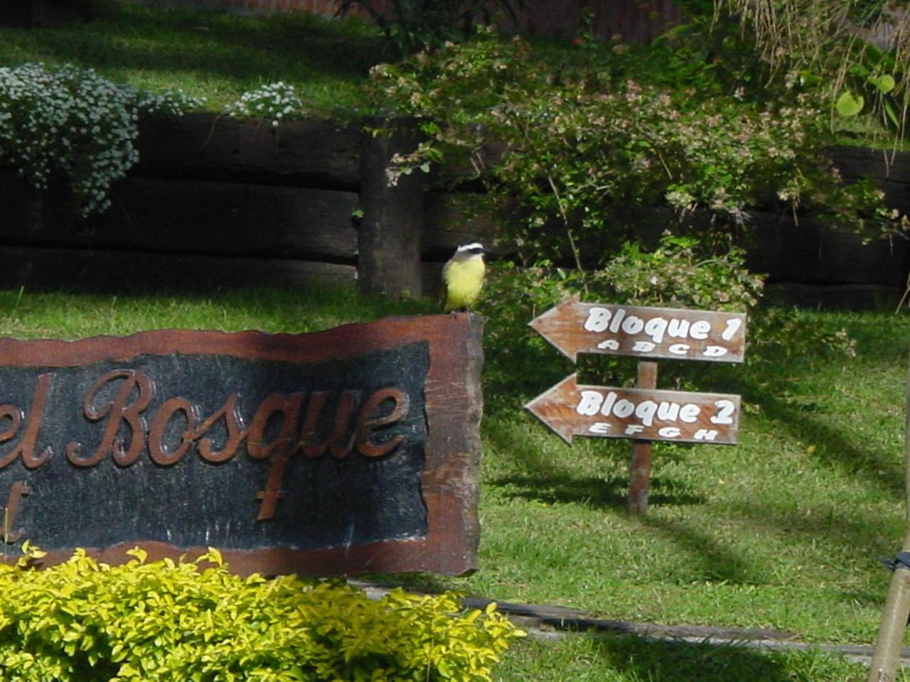 Refugio Del Bosque Villa Carilo Ngoại thất bức ảnh