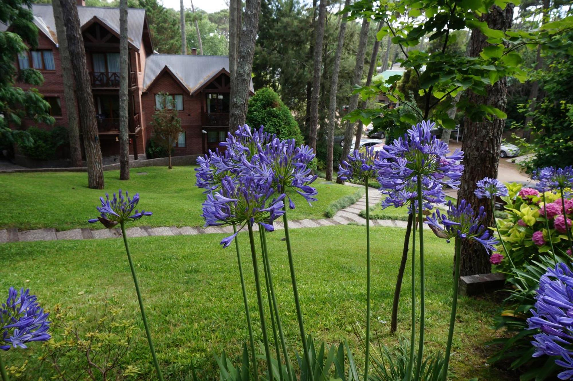 Refugio Del Bosque Villa Carilo Ngoại thất bức ảnh