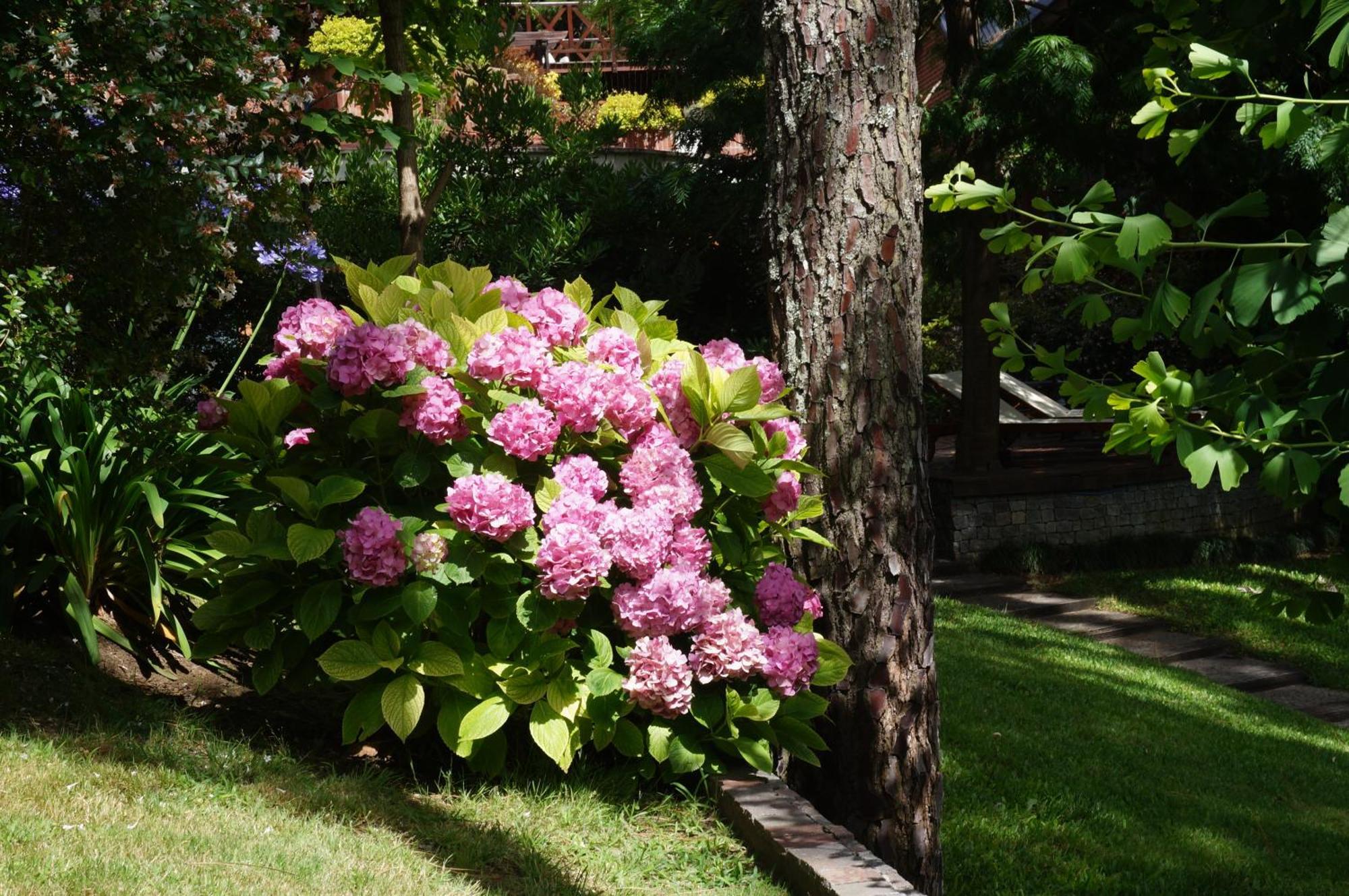 Refugio Del Bosque Villa Carilo Ngoại thất bức ảnh