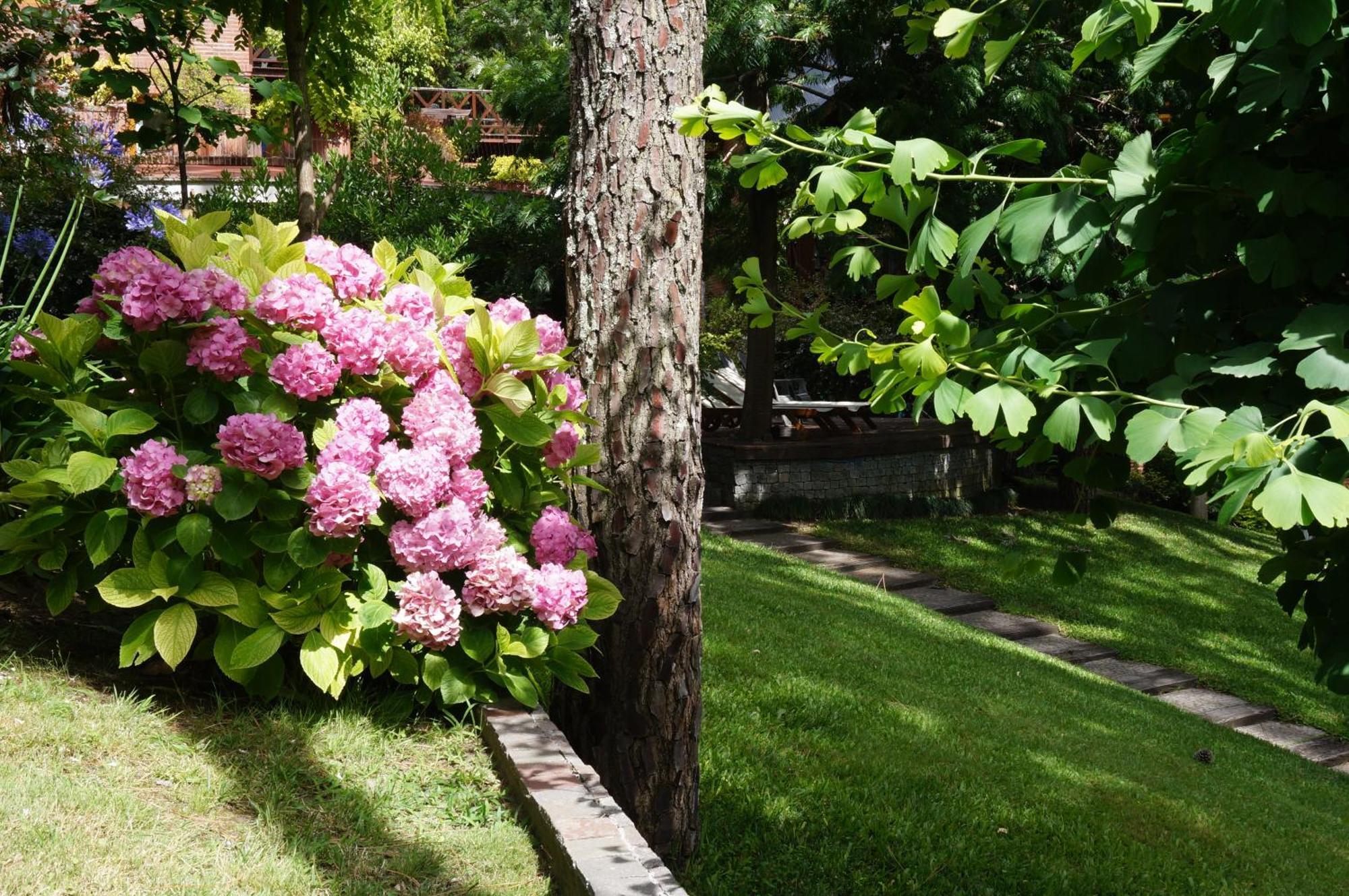 Refugio Del Bosque Villa Carilo Ngoại thất bức ảnh